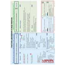 Glagoly dvizhenija i vid glagola. Tablitsa/A1-A2